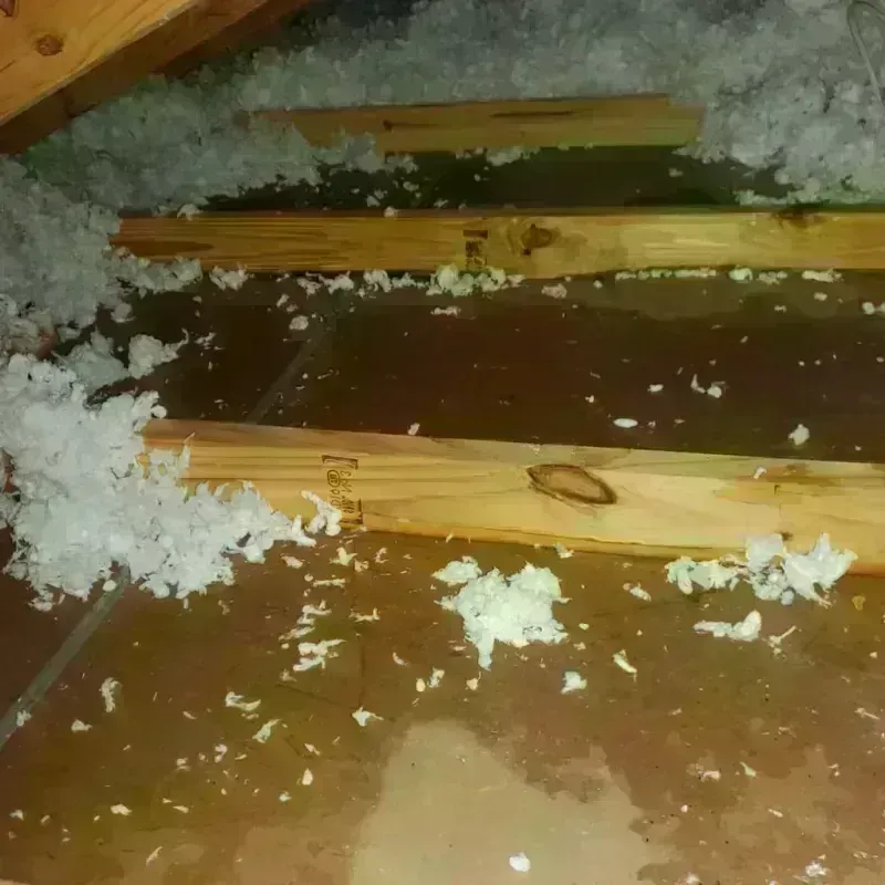 Attic Water Damage in Duarte, CA