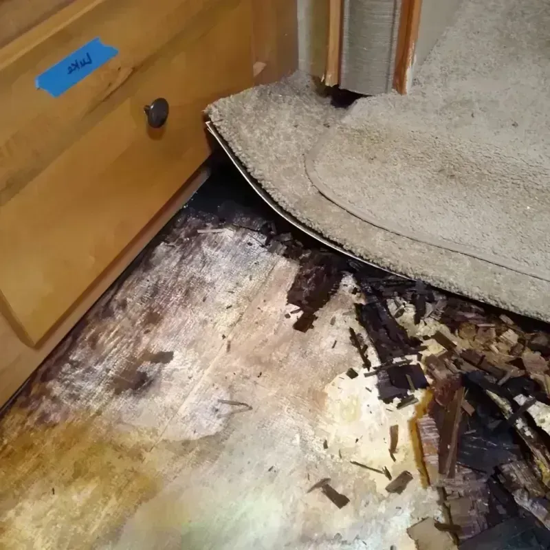 Wood Floor Water Damage in Duarte, CA